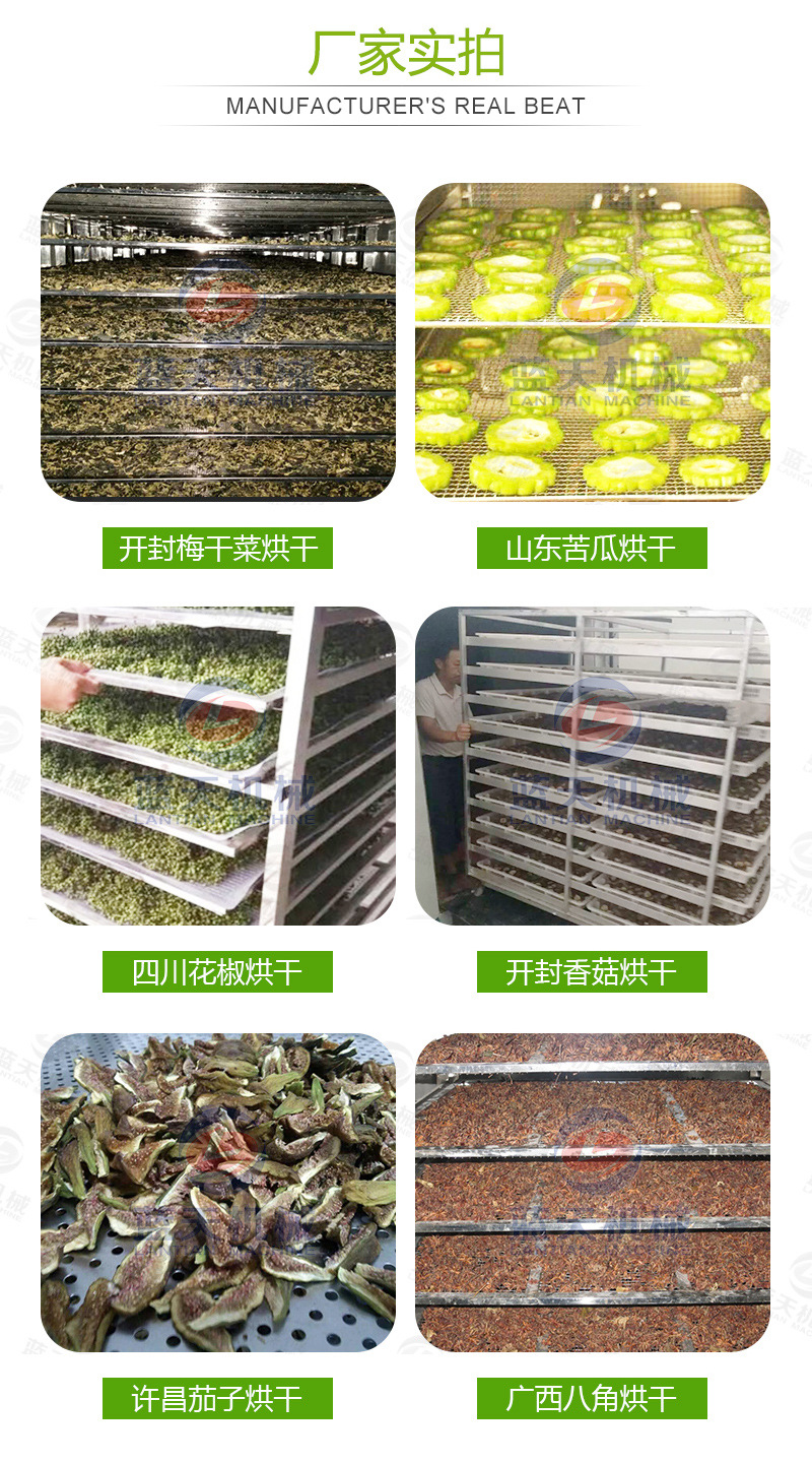 帶式青菜烘干機(jī)廠家實拍